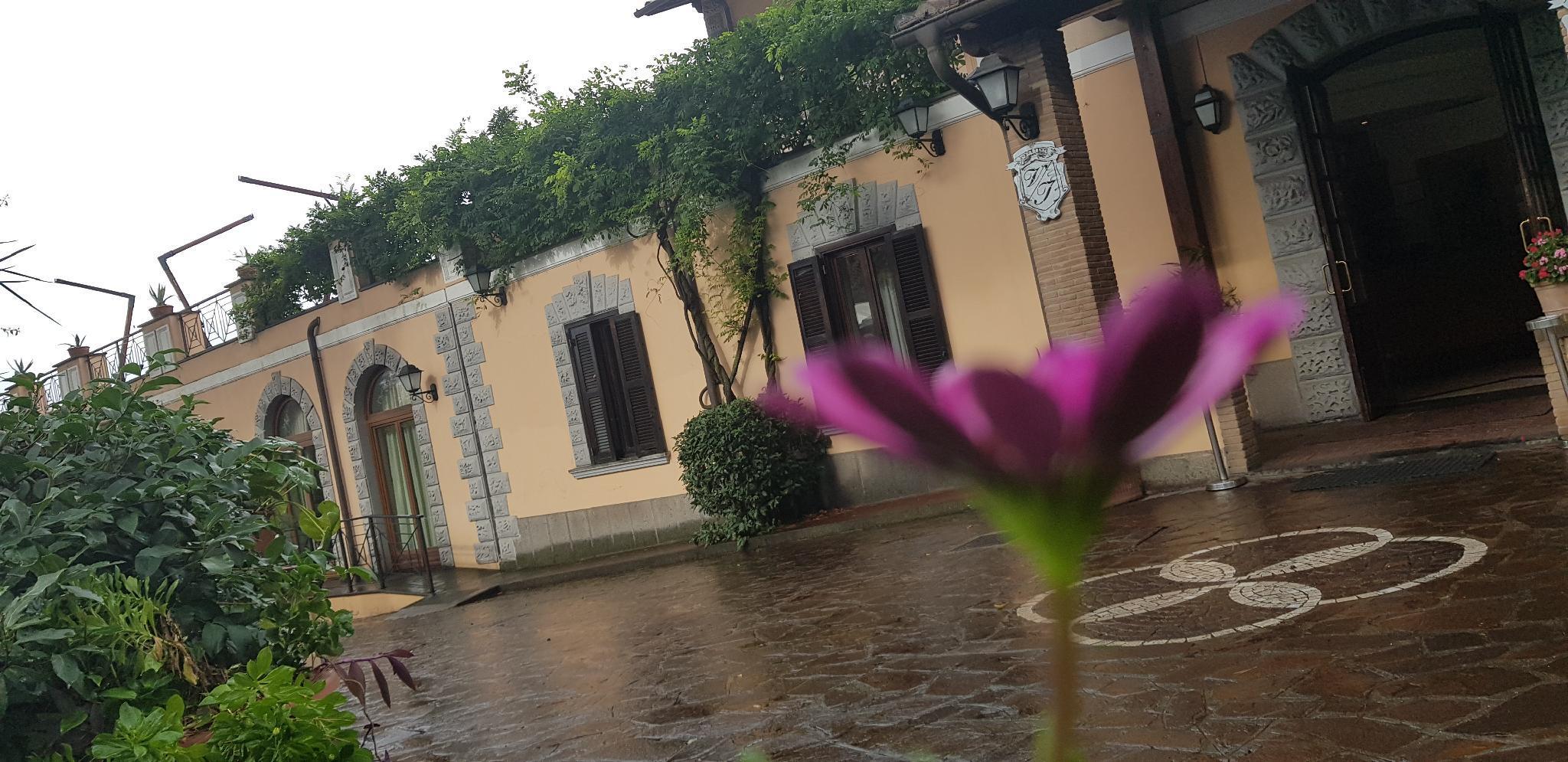 Villa Icidia Фраскати Екстериор снимка